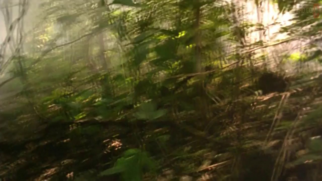 Tigress of King River (2002) DVDRip Hindi + Tha 720p x264 AVC DD 2.0 ESub.mkv.0003